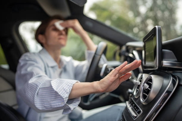 Best Air Conditioning Cleaning in Guerneville, CA